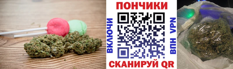 Canna-Cookies марихуана магазин наркотиков Сланцы