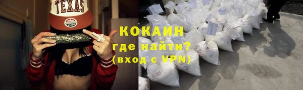 дживик Богданович