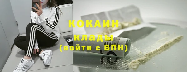 дживик Богданович