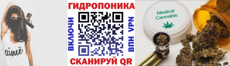 где купить наркоту Сланцы Конопля VHQ